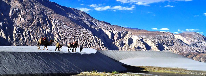 2409/Himalayan Eco Resort - Nubra Valley 11.jpg